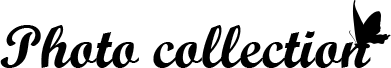 Photo collection